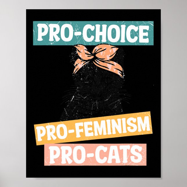 Poster Escolha Feminista Cat Mãe Direitos Reprodutivos Pr (Frente)