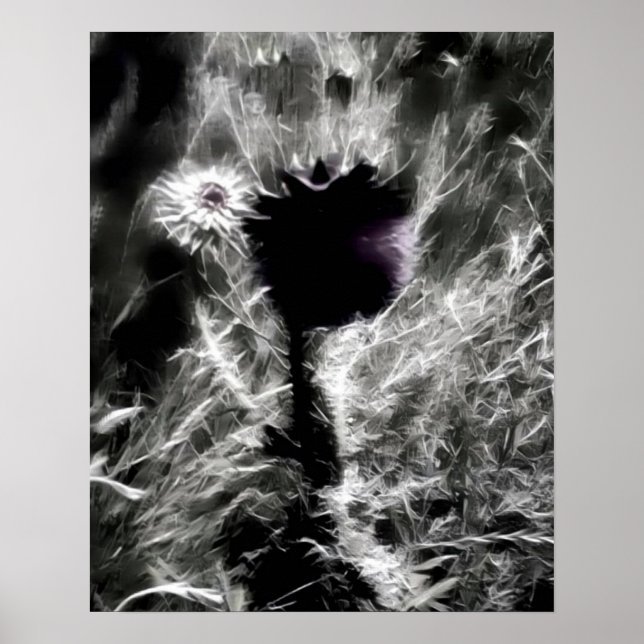 Poster Escolha-me (Frente)