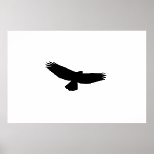 Póster ESCOLHA SUA COR DO FUNDO! Falcão da