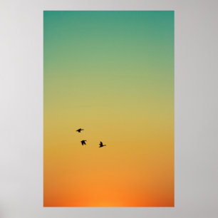 POSTER ESCÓPIA DE AVES QUE VOAM DURANTE O SOL