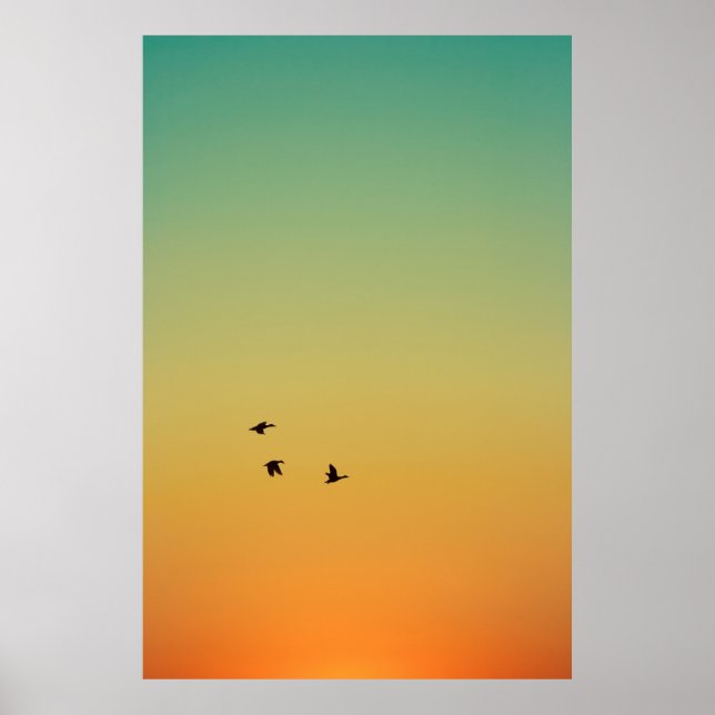 POSTER ESCÓPIA DE AVES QUE VOAM DURANTE O SOL (Frente)