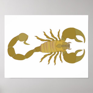 Poster Escorpião