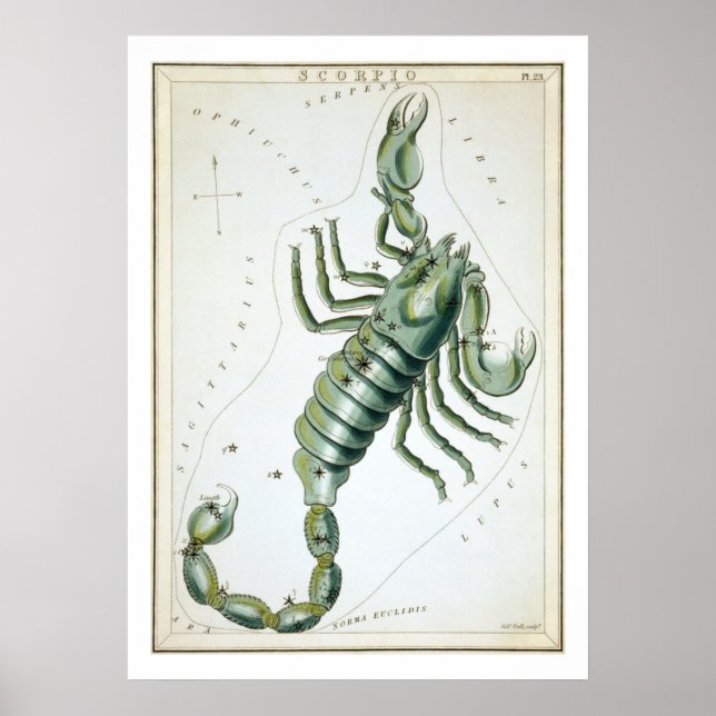 Poster Escorpião Astrologia Zodíaco (Frente)