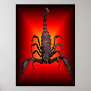 POSTER ESCORPIÃO DA GUERRA