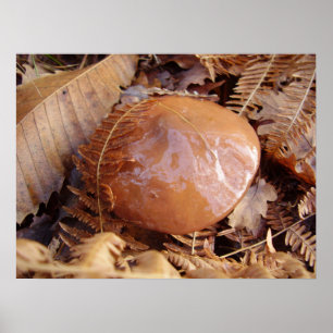 Poster escorregadiço do cogumelo de Jack