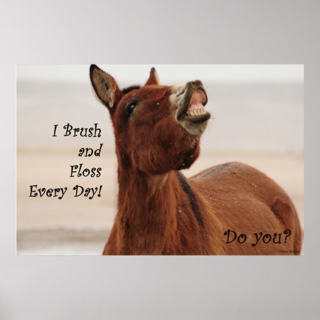 Poster Escove e utilize fio dental todos os dias (Frente)