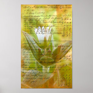 Poster Escrita manual da Flor Branca Bloqueada