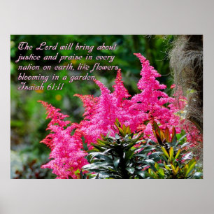 Poster Escritura Floral Rosa Versa Inspiração