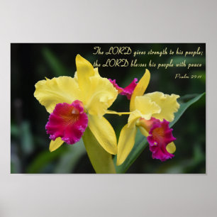 Poster Escritura Versa Da Bíblia Cristã Psalm 29:11