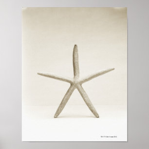 Poster Escudo dos peixes da estrela