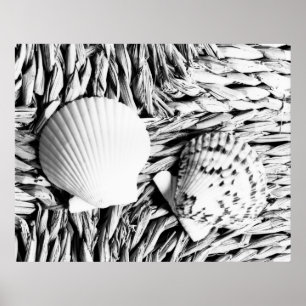 Poster Escudos