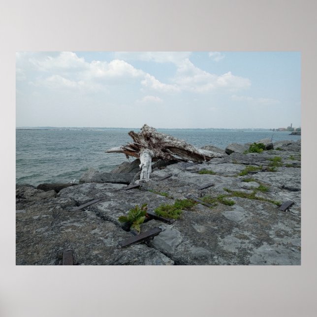 Poster Escultura do Monstro do Lago Wooden (Frente)