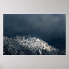 Poster Escuridão e sol sobre floresta de abetos nevada