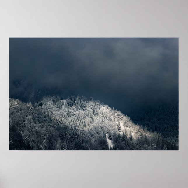 Poster Escuridão e sol sobre floresta de abetos nevada (Frente)