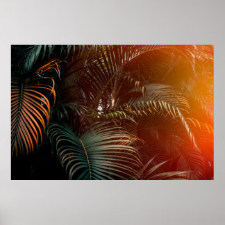 Poster Escuridão profunda do padrão das folhas de palma v