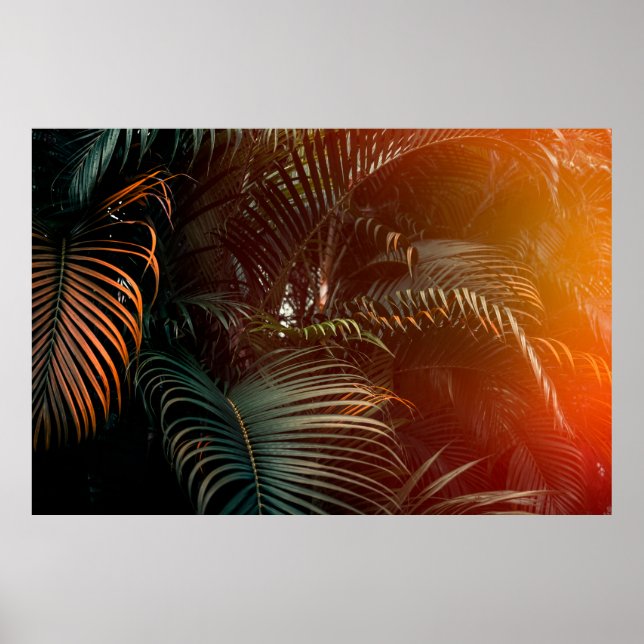 Poster Escuridão profunda do padrão das folhas de palma v (Frente)