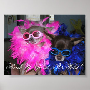 Póster Ese e Lola Go Hollywood