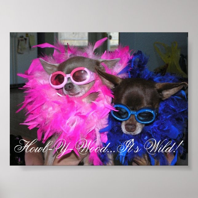 Póster Ese e Lola Go Hollywood (Frente)