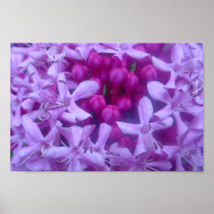 Póster Esfera do roxo