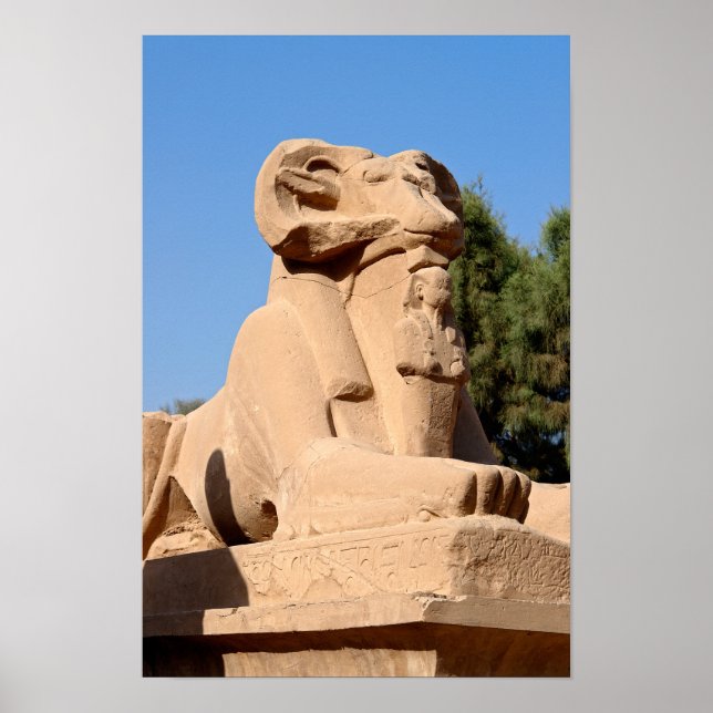 Poster Esfinge com cabeça de carneiro no Templo de Karnak (Frente)