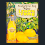 Poster Esmagamento de Limão de Ward's 1920<br><div class="desc">Poster do anúncio de refrigerantes da Ward's Lemon Crush,  de 1920.</div>
