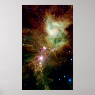 Póster Espaço em Cluster Snowflake Star NASA