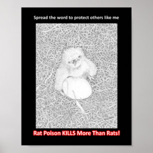 POSTER ESPALHE A PALAVRA MATARES DE VENENO DE RATO AJUDAN
