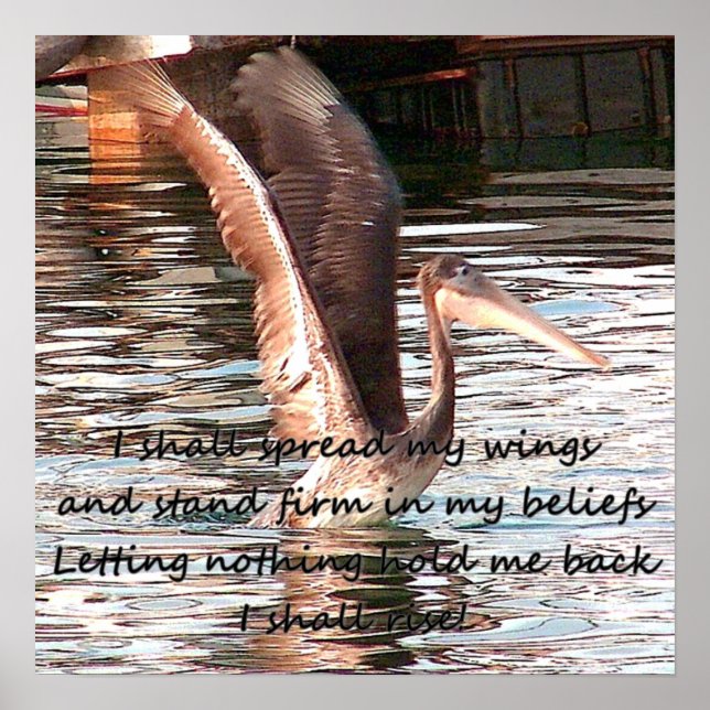 Póster Espalhe suas asas_ (Frente)