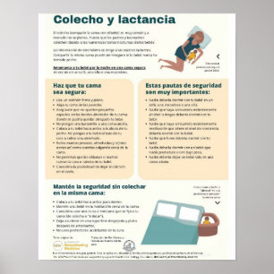 Poster (Espanhol)