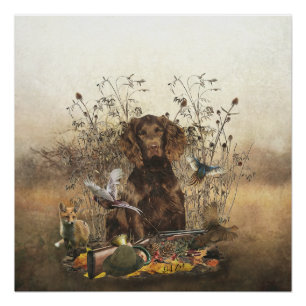 Póster Espanhol alemão, Wachtelhund