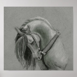 Poster espanhol do desenho do cavalo