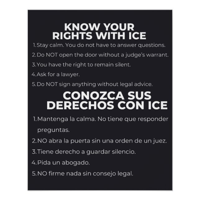 Póster Espanhol e Inglês Conheça Seus Direitos ICE (Frente)