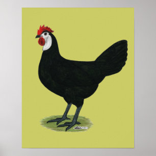 Póster Espanhol: Homem Branco