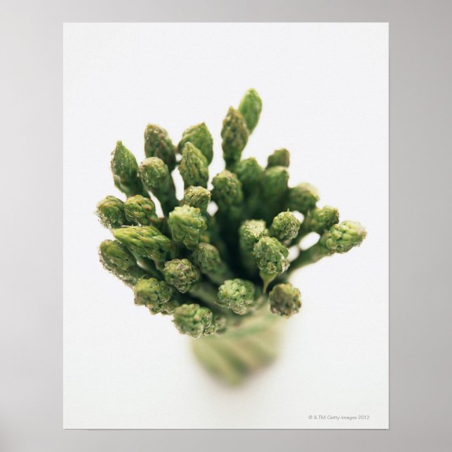 Póster Espargos Verdes (Frente)