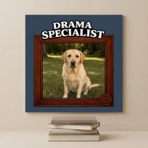 Especialista em Drama Foto Engraçada de Cachorro P