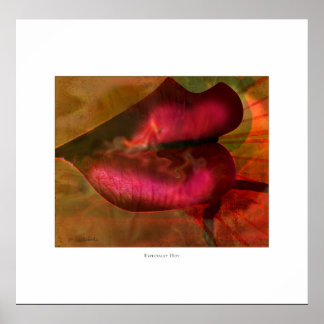 Póster Especialmente quente