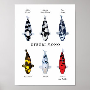 Poster Espécie cartaz de carpas japonesas: Utsurimono