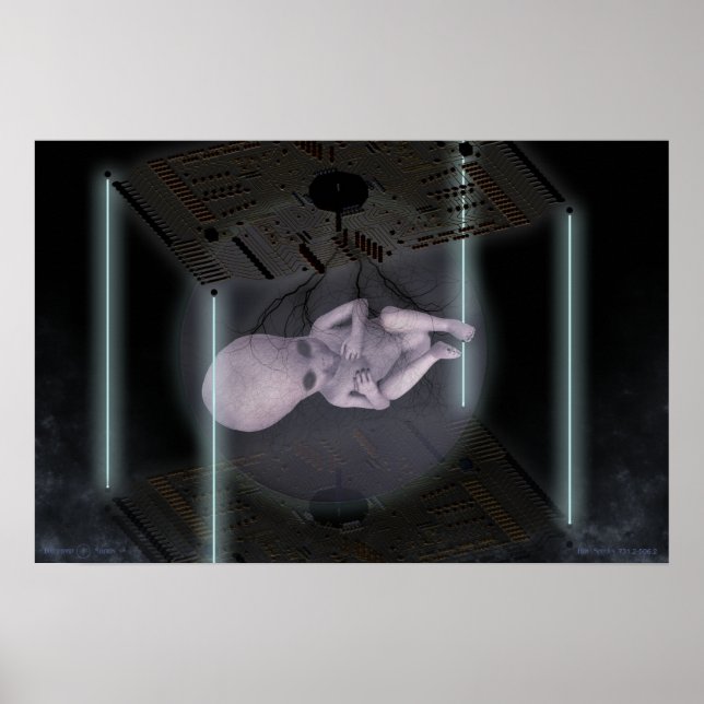 Poster Espécies de Colmeia 731.2-506.2 (Frente)