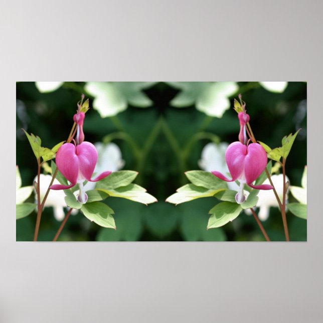 Poster Espelho Abstrato Flor Coração Sangrando Rosa (Frente)