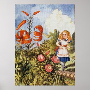 Póster Espelho Alice Cor Completa