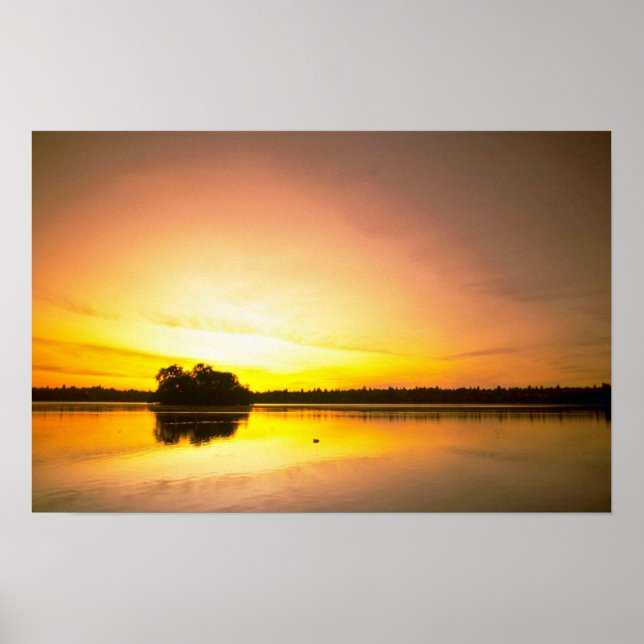 Poster Espelho de água (Frente)