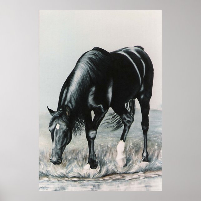 Póster Espelho, Espelho...impressão (Frente)