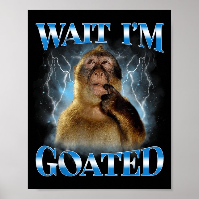 Poster Espera eu sou Deus Meme de macaco pensativo engraç (Frente)