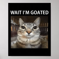Espera Eu Sou Goated Gato Bobo Meme 