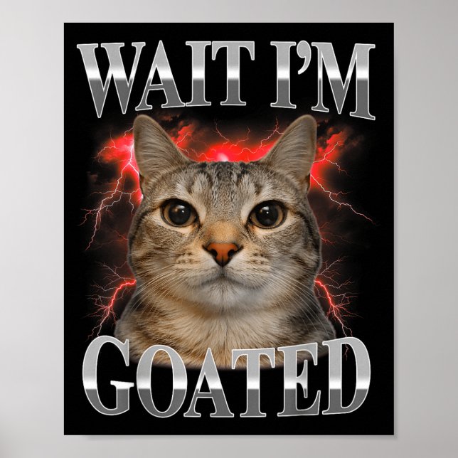 Poster Espera Eu Sou Goated Gato Silly Funny Cat Meme Hom (Frente)
