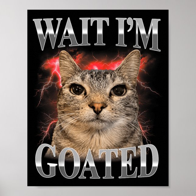 Poster Espera Eu Sou Goated Gato Silly Meme Divertido do  (Frente)