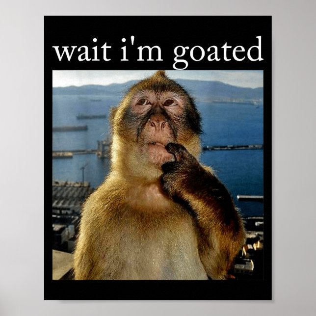 Poster Espera, sou Goated Macaco Pensativo Divertido Meme (Frente)