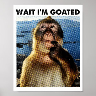 Poster Espera, sou Goated Y2k Macaco Pensativo Divertido