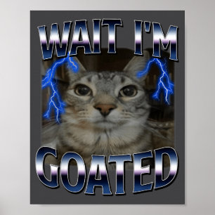 Poster Espera, sou o gato divo Meme engraçado de gato Hom