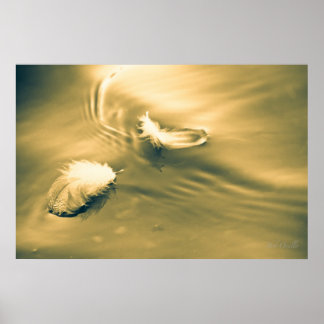 Póster Esperança é a coisa com penas